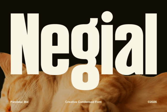 Negial Font: Bold Condensed Typography for Web Design