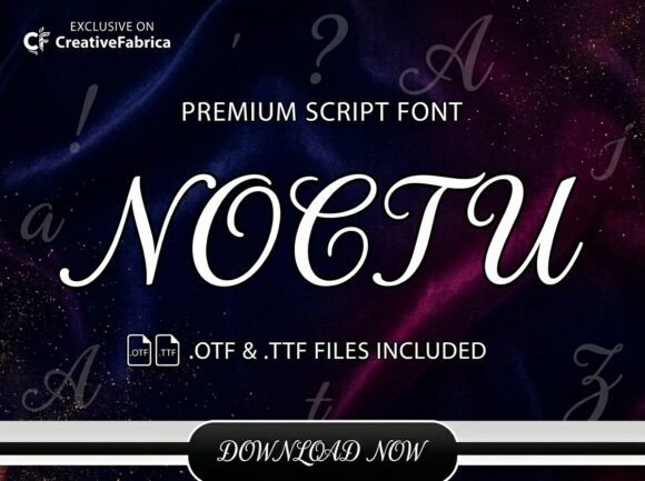 Noctu Typeface for Elegant Web Design