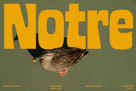 Notre: A Bold Condensed Display Typeface for Web
